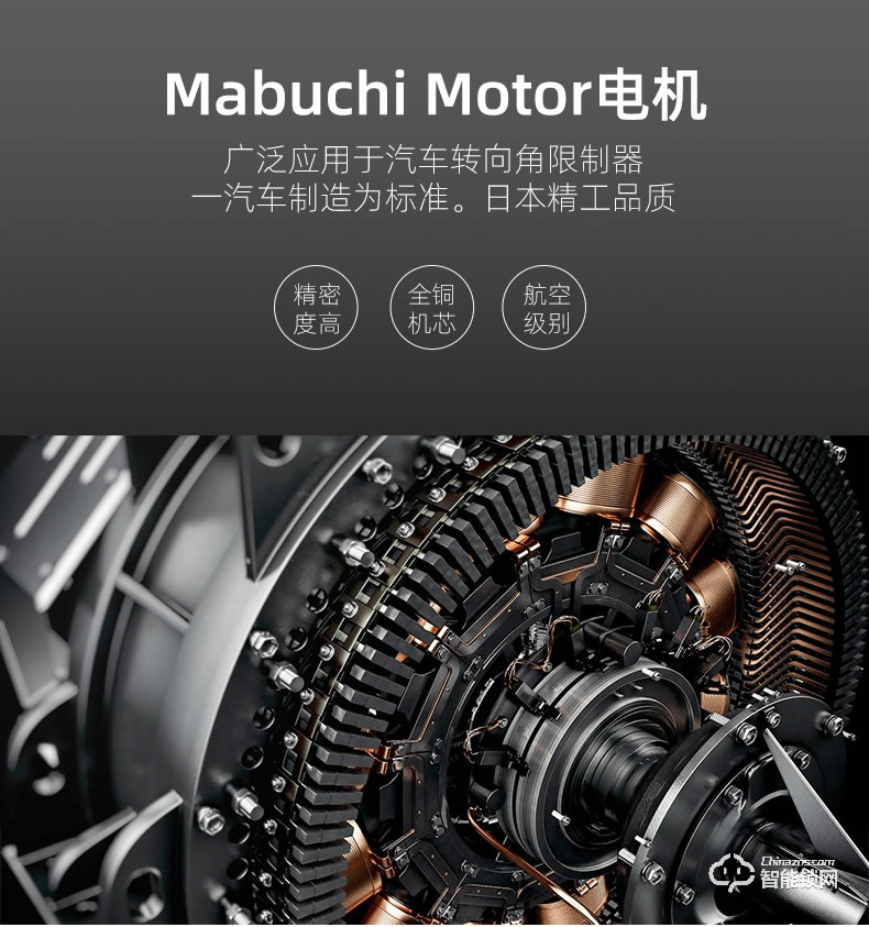 揚(yáng)子智能鎖 888S自動豪華別墅指紋鎖