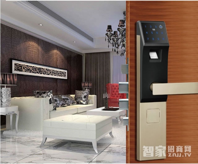 百思易智能鎖 防盜智能鎖/不銹鋼霸王鎖體/八種開鎖方式