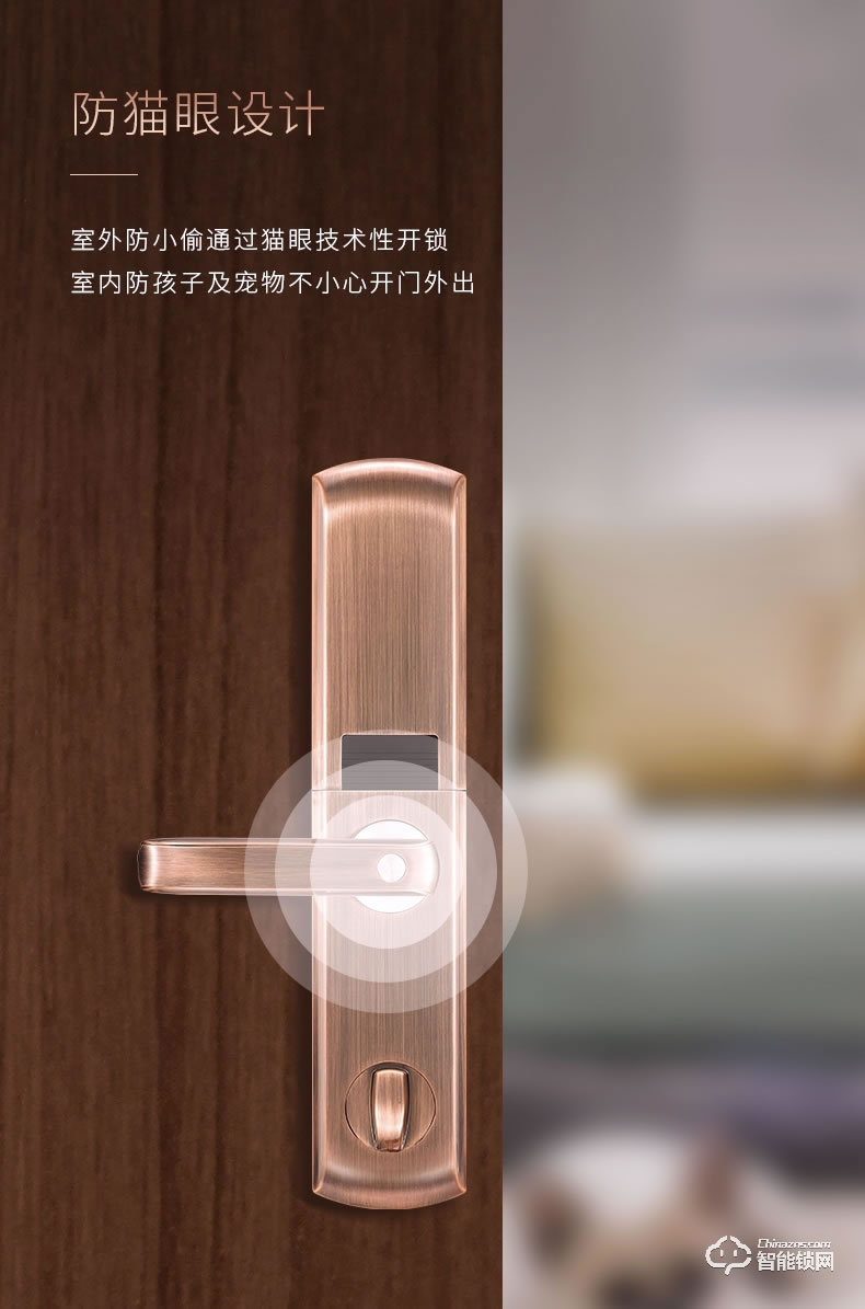 亞太天能智能鎖 T109家用防盜門指紋密碼鎖 