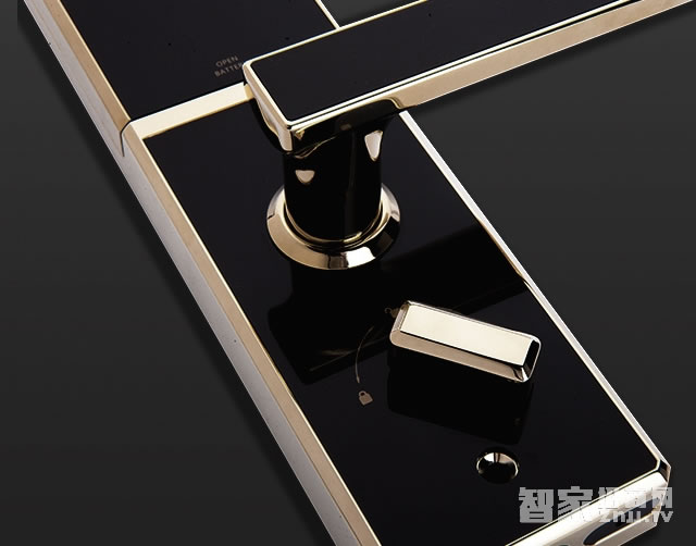 voc防盜門(mén)指紋T551智能鎖 五種開(kāi)鎖方式