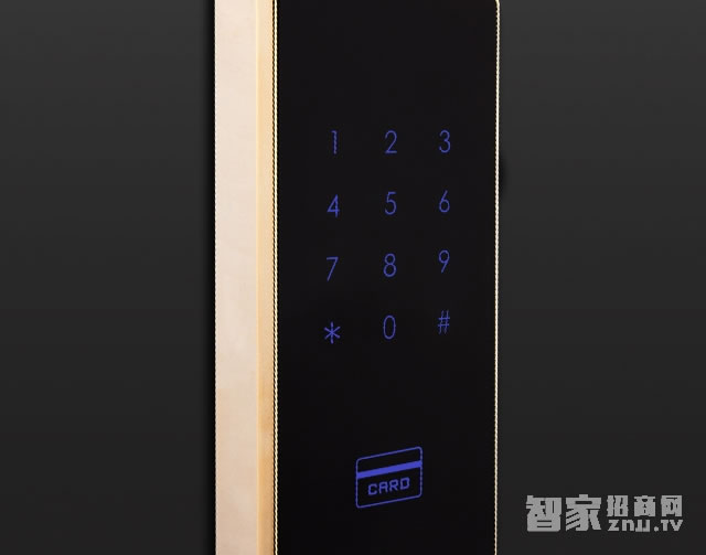 voc入戶門智能密碼鎖 V551家用防盜鎖