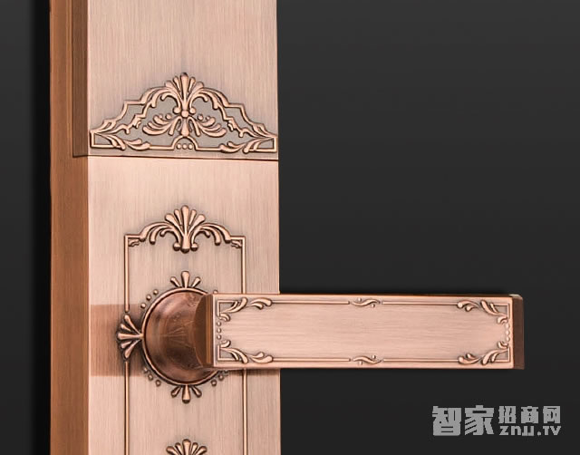 voc奢華貴族系列 LS79智能密碼指紋鎖