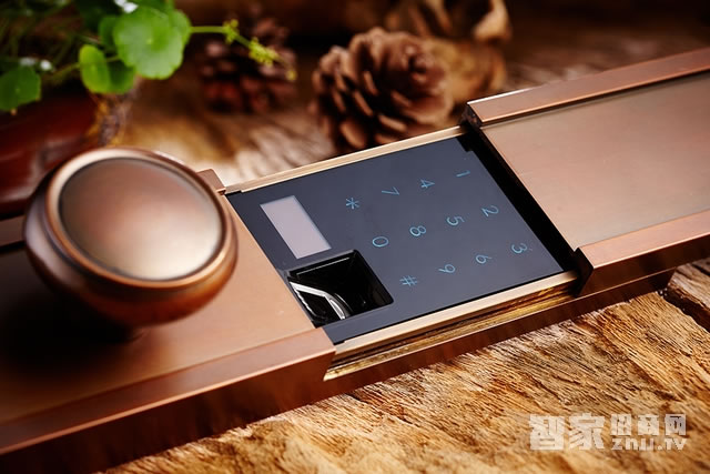 艾棲別墅指紋鎖 滑蓋智能鎖 電子鎖純銅鎖