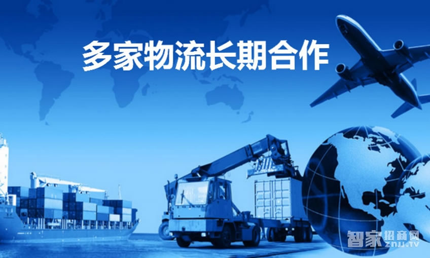 艾棲指紋鎖 高檔小區智能鎖 別墅公寓鎖