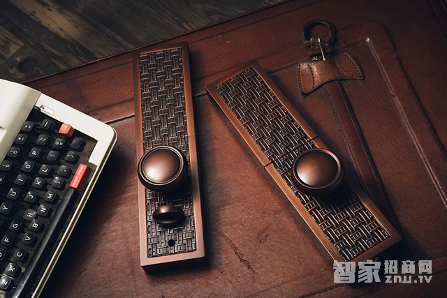 艾棲指紋鎖 高檔小區智能鎖 別墅公寓鎖