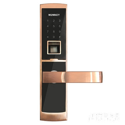 丁丁掌門智能鎖 家用防盜指紋鎖 公寓入戶門電子密碼鎖