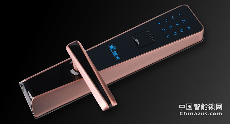 德犬簡歐指紋密碼鎖DL0003 家用辦公室防盜門木門指紋鎖