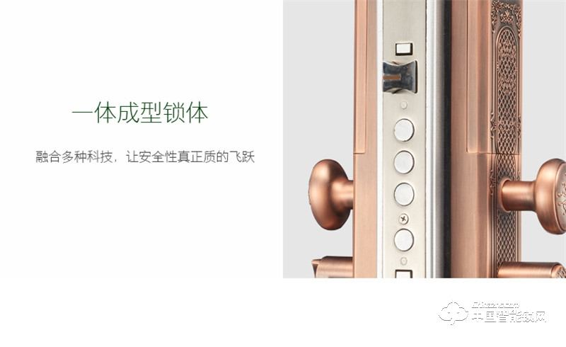  朗凱斯別墅指紋鎖 L710智能鎖