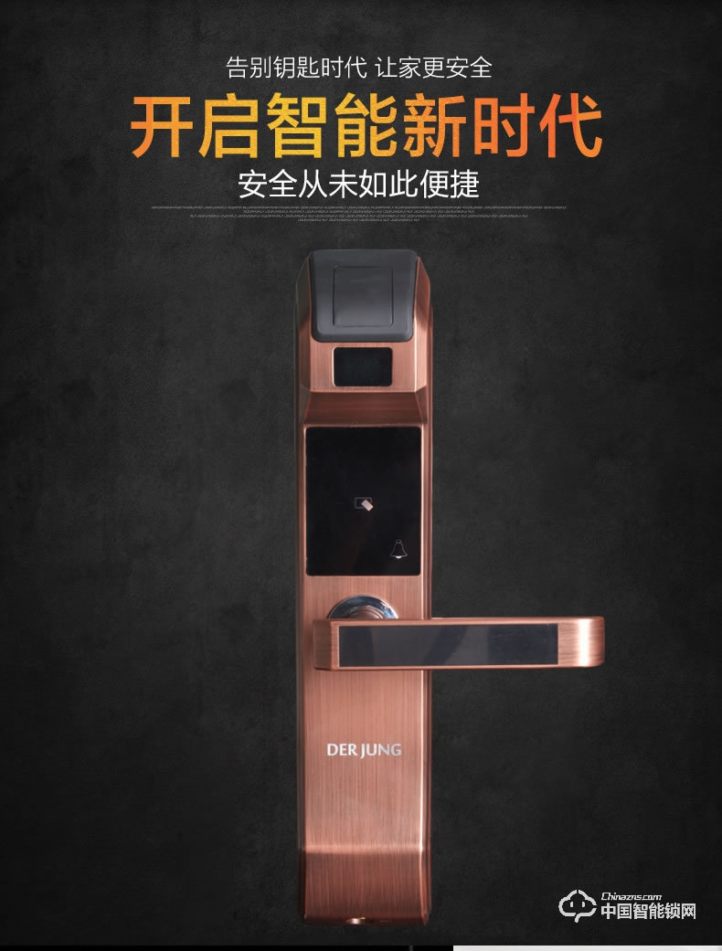 典匠智能鎖 D6017智能家用防盜門半導(dǎo)體指紋鎖密碼鎖