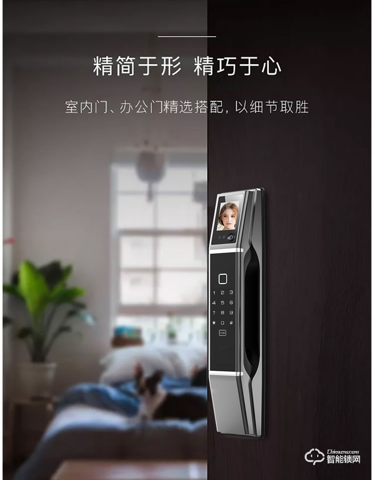 皇家金盾指紋鎖 R20人臉識別家用防盜門鎖