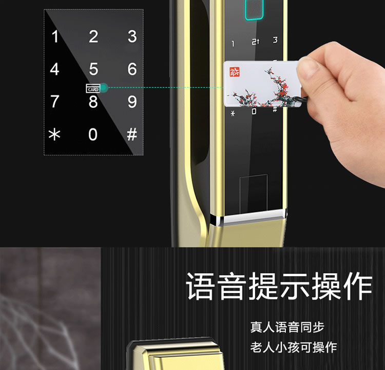 皇家金盾智能鎖 Q1家用智能門鎖推拉式開鎖