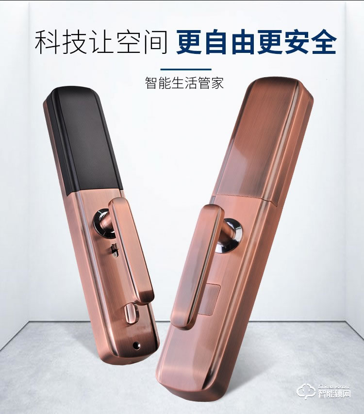 羅斯盾智能鎖 家用防盜門電子門鎖磁卡鎖