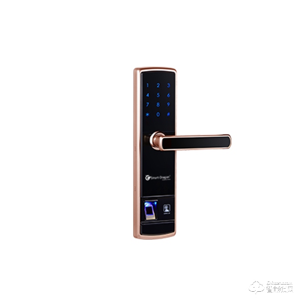 龍騰智能鎖 ZF5155直板智能密碼鎖