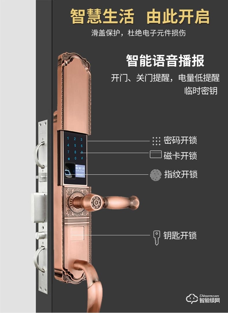盾豹智能鎖 D-WZ1豪華別墅門指紋鎖
