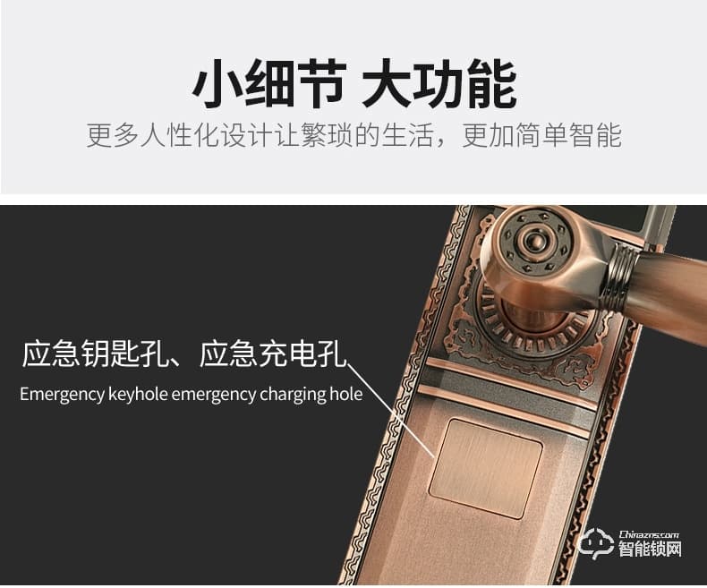 盾豹智能鎖 D-WZ1豪華別墅門指紋鎖