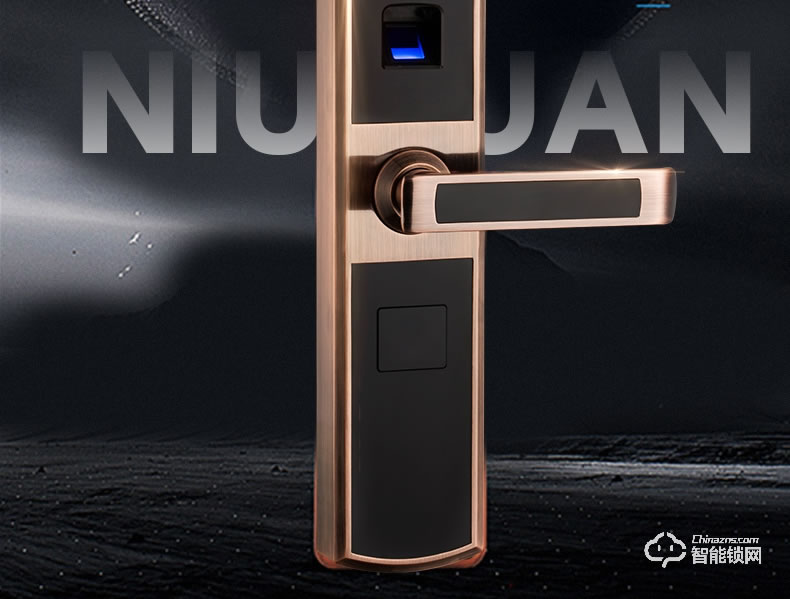 紐冠智能鎖 N816家用電子鎖智能門(mén)鎖