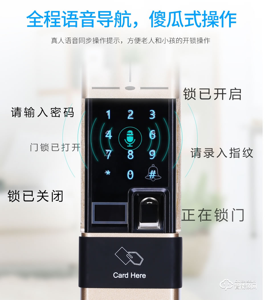 觸享智能鎖 CXL14系列時尚風智能門鎖