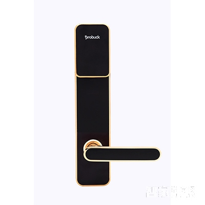 普羅巴克滑蓋指紋鎖I100 大門防盜電子鎖