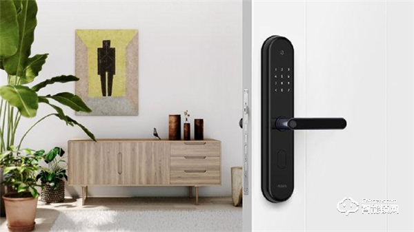 對話綠米聯創CEO游延筠：創業就像走迷宮，總是遇到十字路口