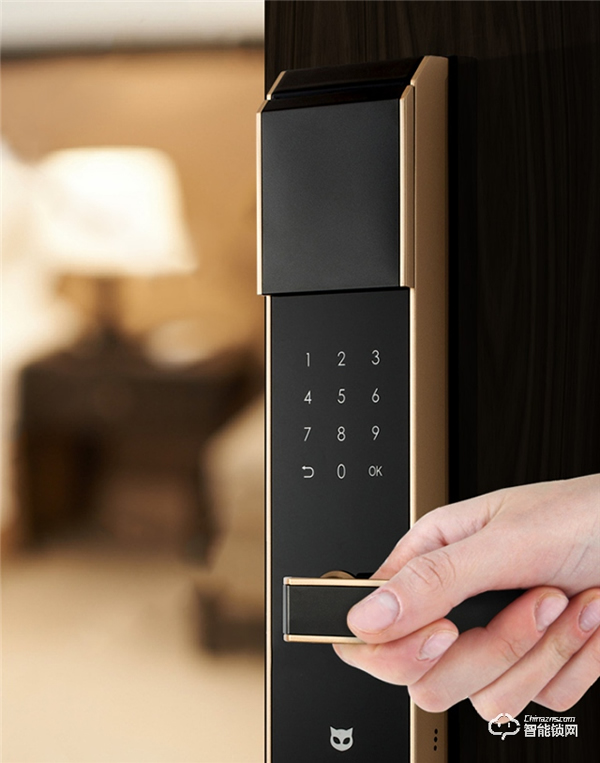 炫光感應，酷炫新品斑點貓智能門鎖Z3上市，開啟智能新生活！