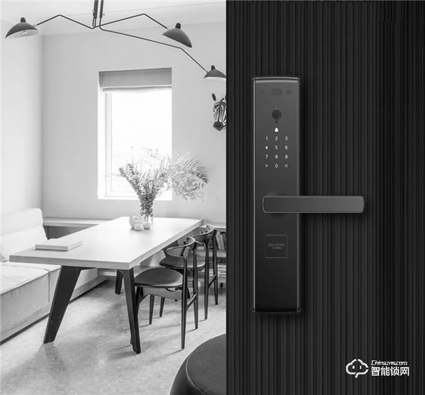 要有貓眼，又要規(guī)避掉貓眼的安全漏洞，用王力智能鎖就搞定啦