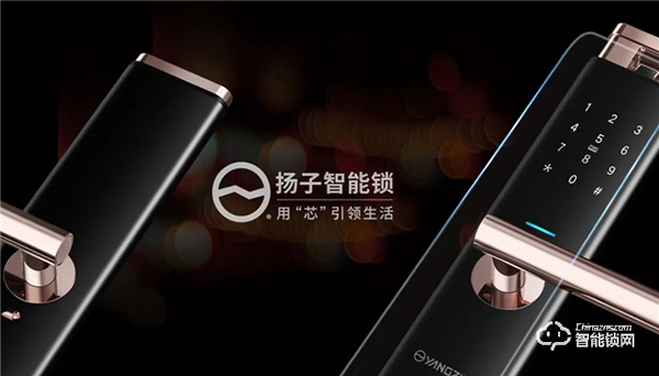 揚子智能鎖 || 安全耐用一個不能少，什么材質的智能鎖好？