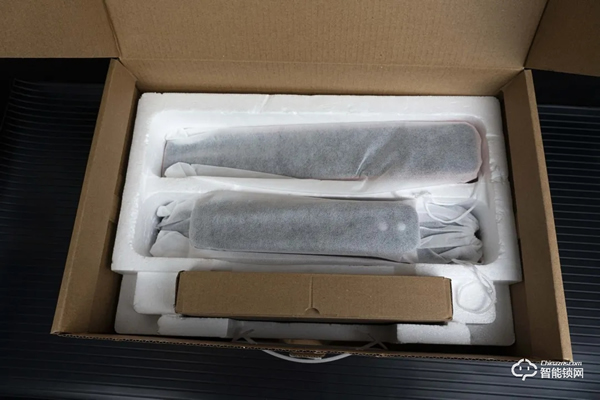 德施曼麒麟R8人臉識別智能鎖靜態體驗