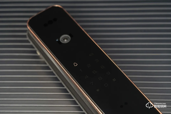 德施曼麒麟R8人臉識別智能鎖靜態體驗