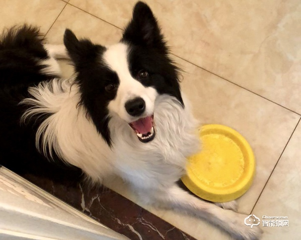 你家大門(mén)真的安全么？惠氏X68一握開(kāi)智能鎖真實(shí)使用測(cè)評(píng)