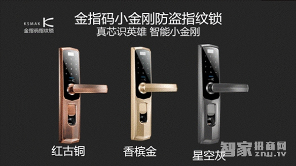 智能鎖十大品牌實力排行榜