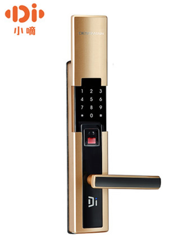 德施曼智能鎖多少錢_德施曼智能鎖特點(diǎn)介紹