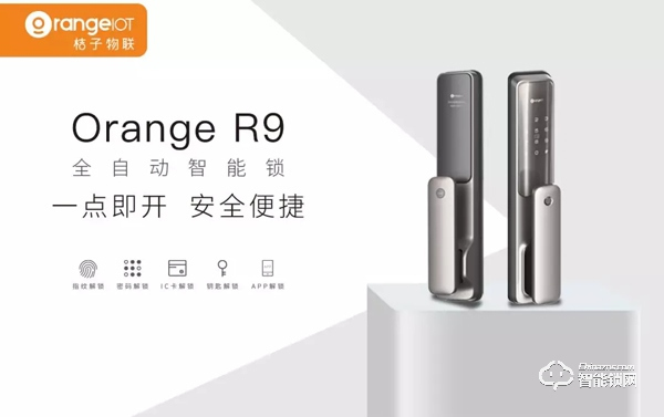 深耕渠道建設，凱迪仕子品牌桔子物聯向全國發布召集令！