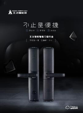 誰是銷量冠軍？王力智能鎖銷量攀越109座珠穆朗瑪峰