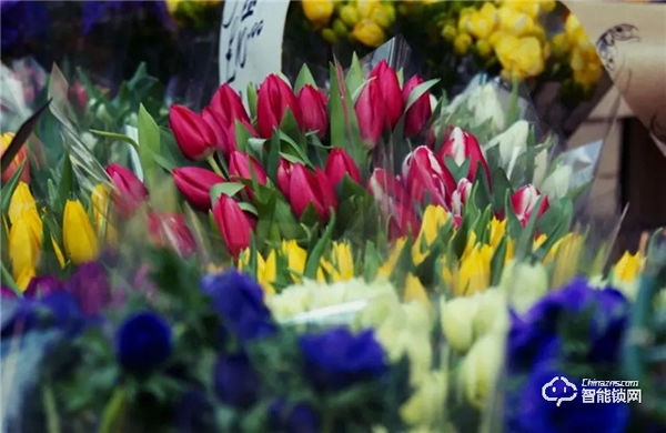 飛利浦智能鎖，讓團聚更及時，讓年味更顯智慧