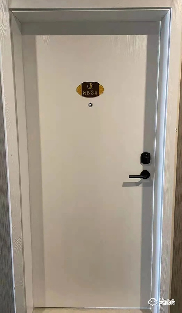 泰州逸安大酒店，搭配科裕分體式智能門鎖，好看實(shí)用