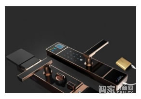 家庭住宅智能門(mén)鎖分哪些