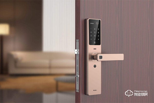 站在智能家居行業(yè)風口，智能鎖能否“C位”出道