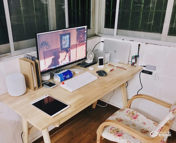 “單身經濟”勢頭強勁，智能家居更受年輕人青睞