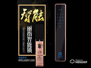 麗指指紋鎖怎么樣 麗指指紋鎖價(jià)格如何