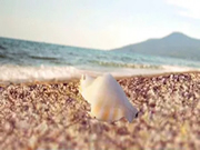 德國諾托：讓您在操縱的一開一合間，觸摸一片海！