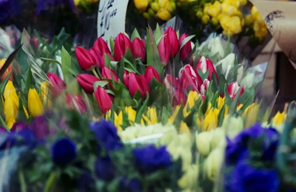 飛利浦智能鎖：南北習(xí)俗大賞讓你過出年味