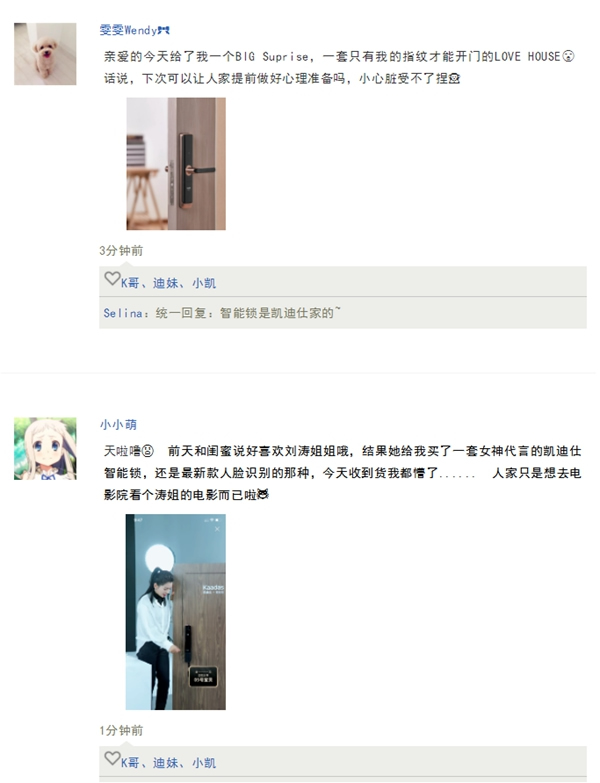 凱迪仕智能鎖：智能鎖界「凡爾賽文學」來了