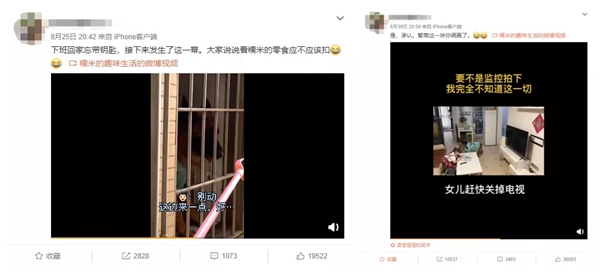 飛利浦智能鎖：寵物獨(dú)自開門存在的安全隱患 你注意到了嗎？