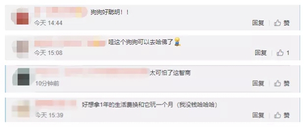 飛利浦智能鎖：寵物獨(dú)自開門存在的安全隱患 你注意到了嗎？