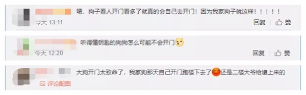 飛利浦智能鎖：寵物獨(dú)自開門存在的安全隱患 你注意到了嗎？