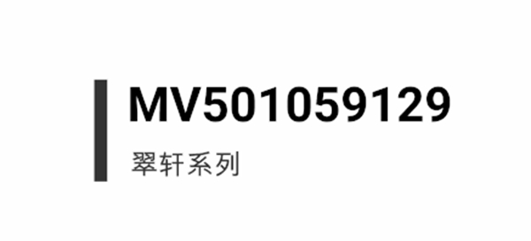 名門靜音門鎖 詮釋匠心與精致
