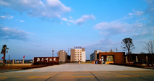 指芯智能：下一盤大棋，再修一條護城河