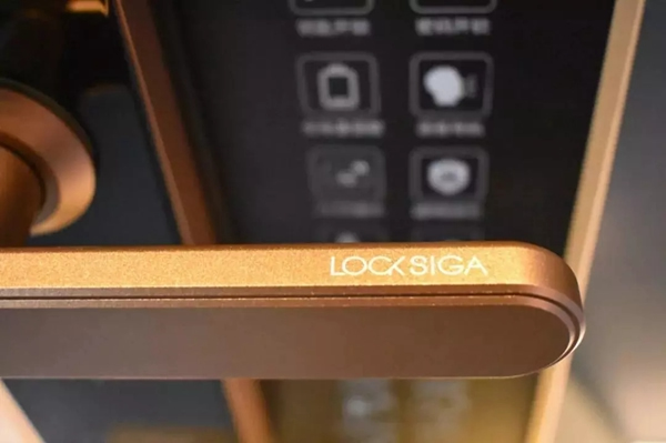 洛克思格S1Pro指靜脈智能鎖 懂你更懂生活