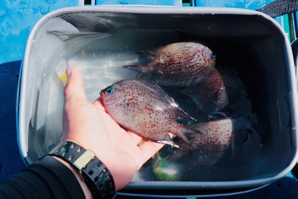 ThinkHome菲律賓長灘島特訓(xùn)營活動圓滿結(jié)束