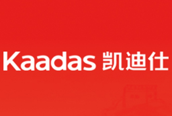凱迪仕與頂固集創雙方戰略合并的解析—強強聯合 共踐產業夢